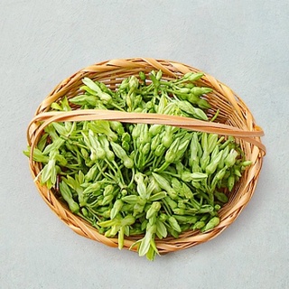 Bông Thiên Lý 200g #0013101