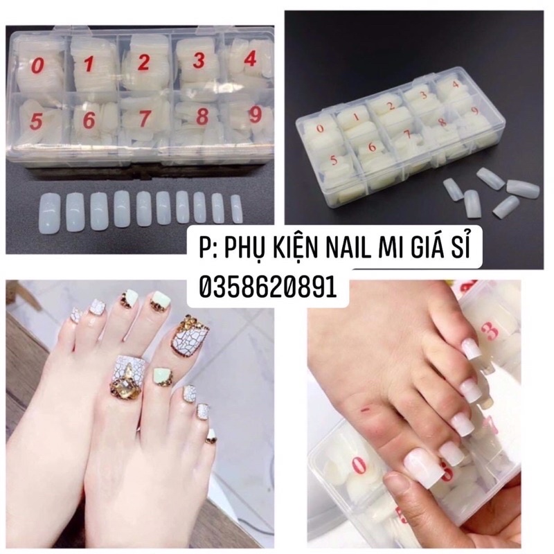 Móng úp chân dài