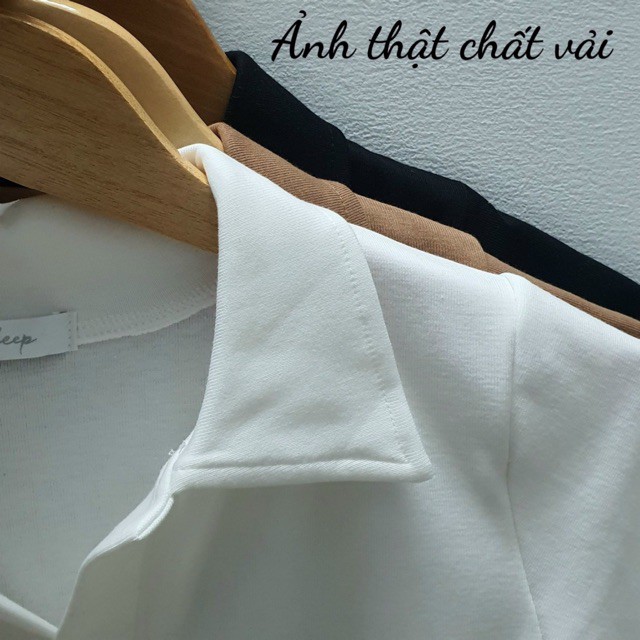 ÁO CROPTOP CỔ TRỤ POLO | WebRaoVat - webraovat.net.vn