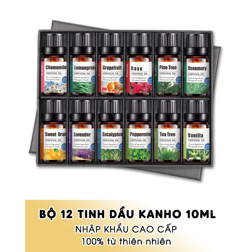 Bộ 12 Tinh Dầu Xông Phòng Các Loại 10ml 100% Thiên Nhiên Cao Cấp