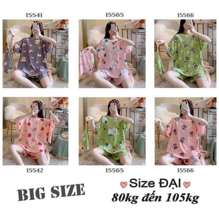 Đồ Bộ đùi short BIG SIZE SS-DAI cute dễ thương - 15541-15542-15565-15566