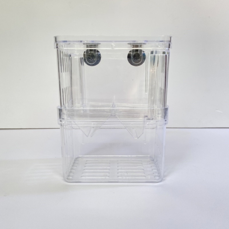 Lồng đẻ mica tách cá đẻ an toàn