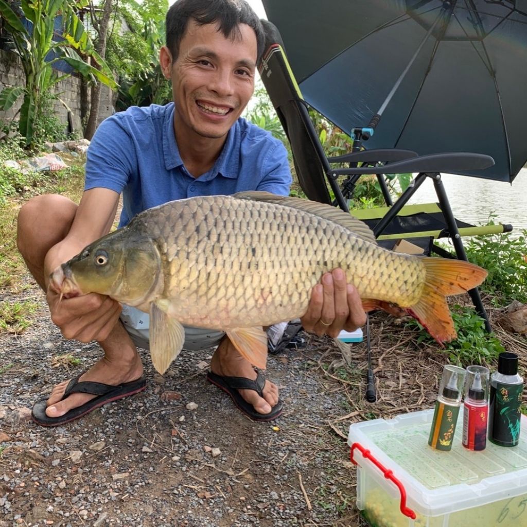 Mồi câu cá trắm cỏ Kim Long, mồi câu cá trắm đen kim long, hương liệu câu cá trắm cỏ kim long- Vietnam Fishing