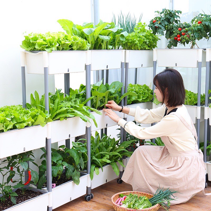 Chậu trồng rau thông minh tự dưỡng nhiều tầng nhập khẩu Oliz D202. Có chức tự tưới nước cho cây, bánh xe di chuyển