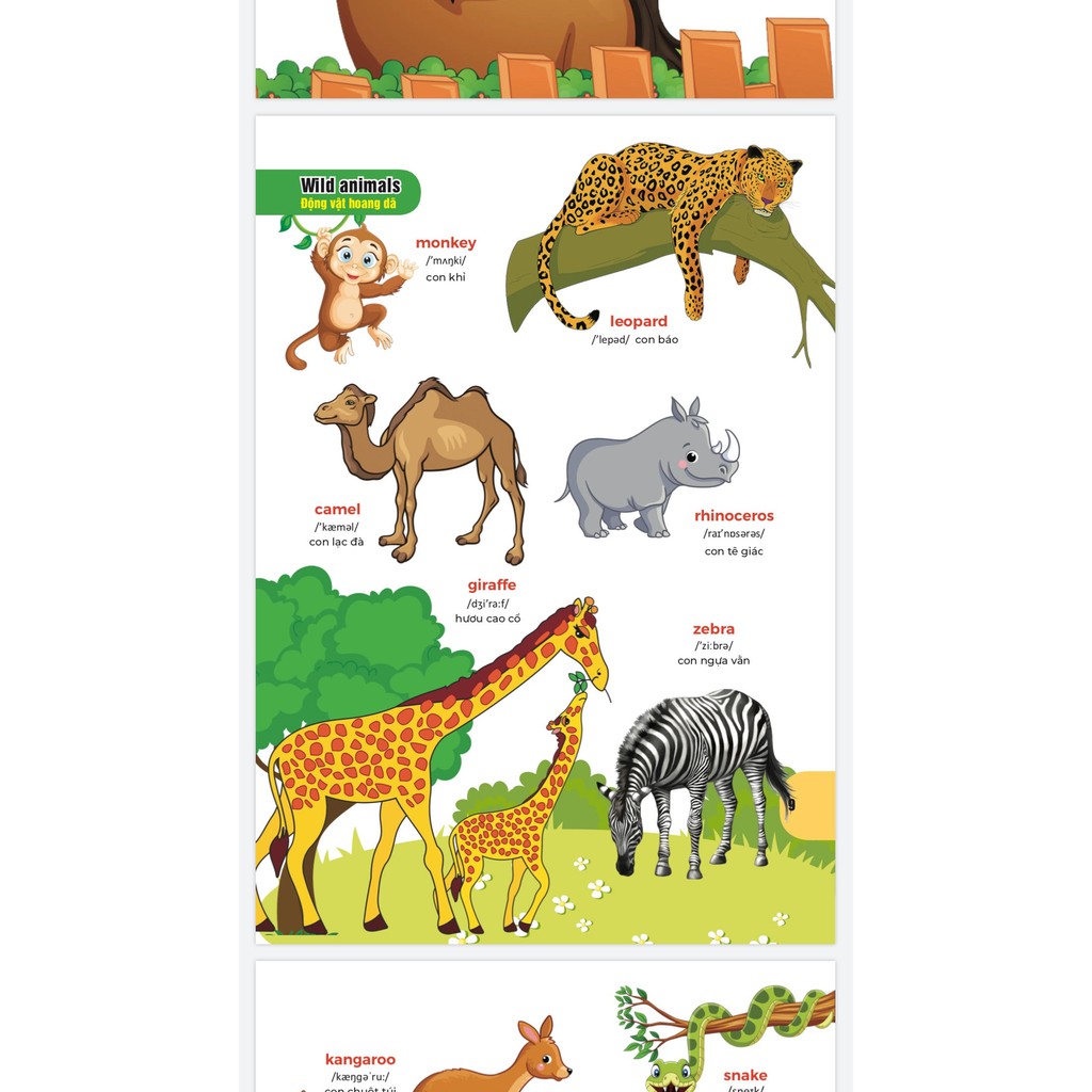 Sách - Bách khoa hình ảnh đầu tiên cho bé , song ngữ Anh - Việt , dành cho bé 0-6 tuổi( My First picture encyclopedia )