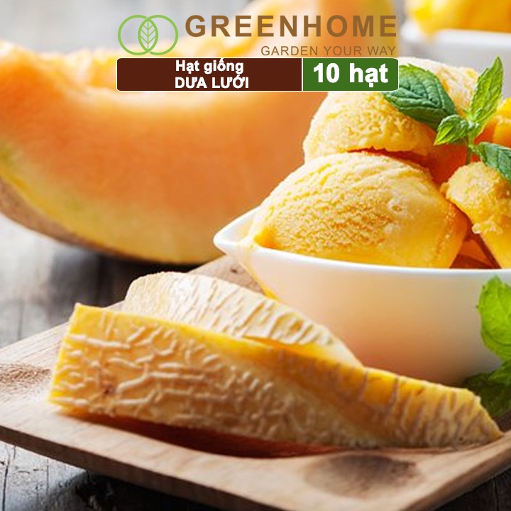 Hạt giống Dưa lưới ruột vàng f1 Greenhome, gói 10 hạt, sinh trưởng mạnh, năng suất cao T14
