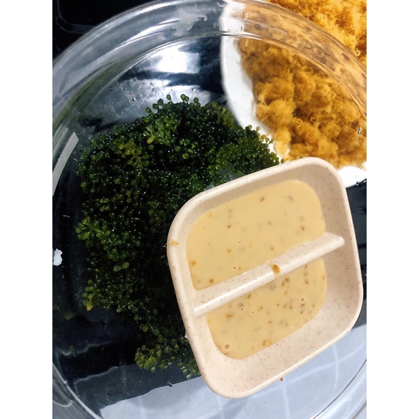 [MỚI] - 100G RONG NHO TÁCH NƯỚC/ RONG NHO NGON/ RONG NHO BIỂN/ CHẤT LƯỢNG VÀ TỐT SỨC KHỎE