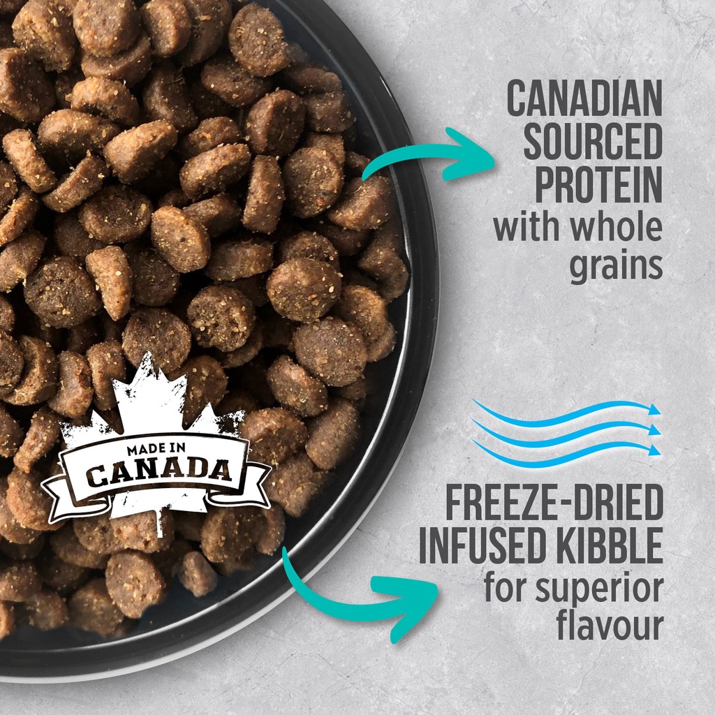 Hạt Nutrience Infusion Adult Indoor cho mèo trưởng thành