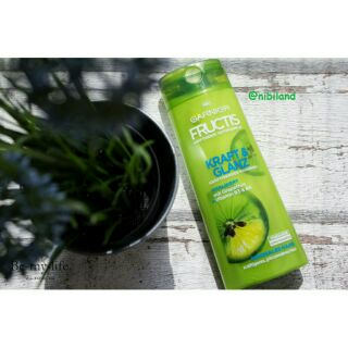 Dầu gội Garnier Fructis dành cho da dầu