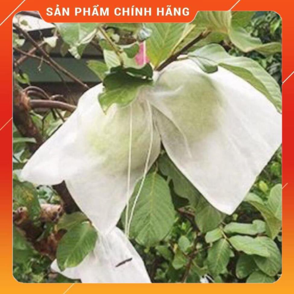 ⚡, túi bọc trái cây phòng ngừa sâu bệnh phá hoữ