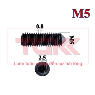 Vít trí đầu nhọn thép đen M5
