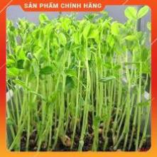 HẠT GIỐNG RAU MẦM ĐẬU HÀ LAN GÓI 50 GRAM