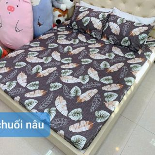 Ga gối chun cotton poly (3 món)