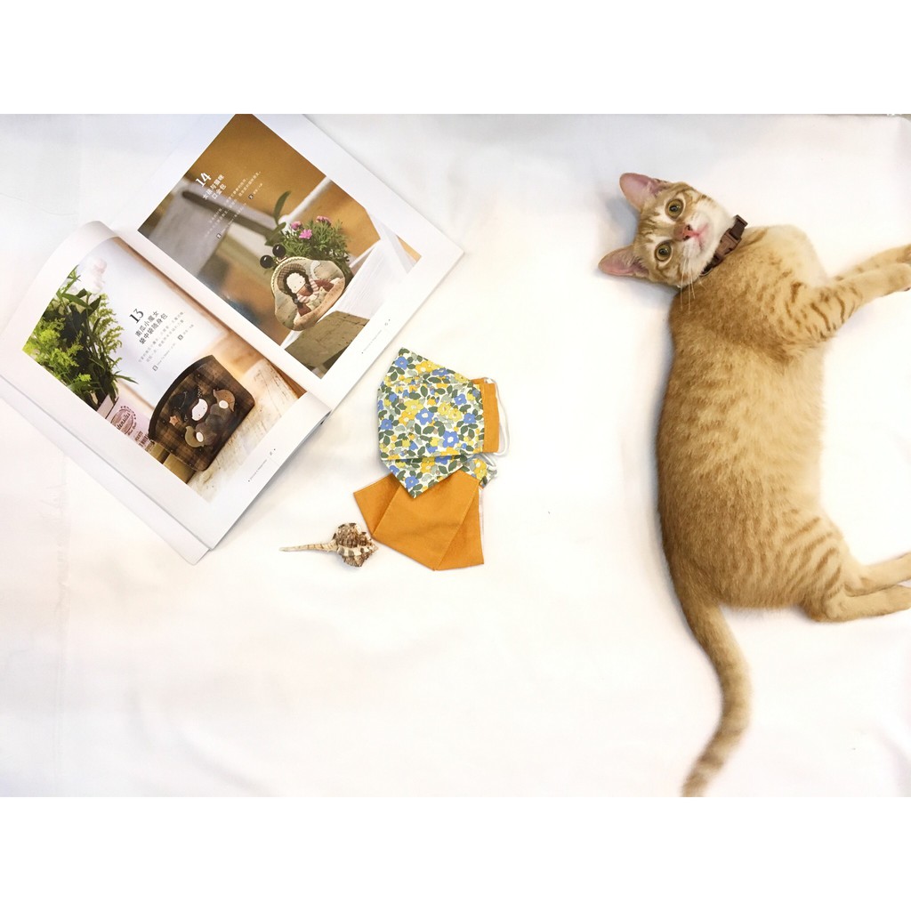 Set khẩu trang người lớn 2 cái