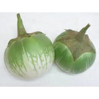 0,5gram Hạt giống cà dĩa, cà bát xanh khoảng 45-50hạt trồng quanh năm
