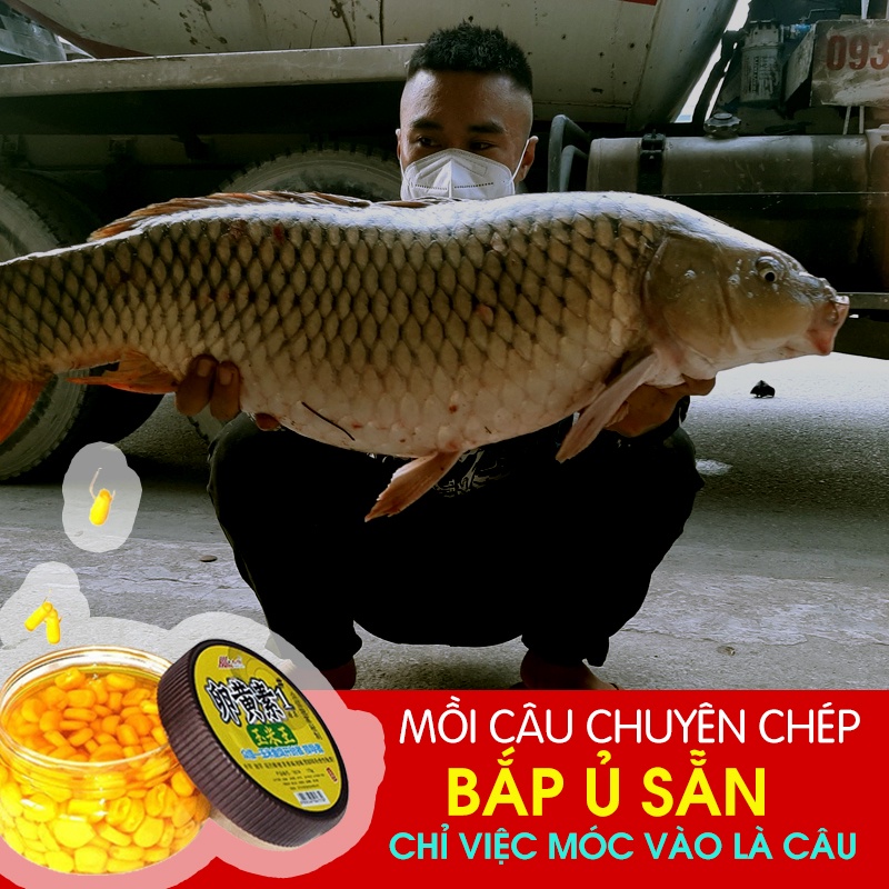 Mồi Câu Cá Chép Cực Kì Hiệu Quả Dùng Cho Câu Đài & Lục