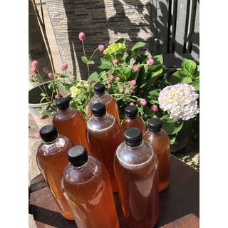 MẬT ONG HOA TRÀM, MẬT HOA CÀ PHÊ( theo mùa)