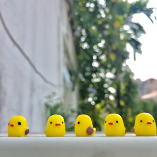 Phụ kiện cây mini- phụ kiện tiểu cảnh - bọ cánh cam, nấm, vịt con, bảng tên