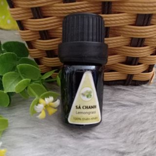 Tinh dầu sả chanh lọ 5ml khử mùi và đuổi muỗi