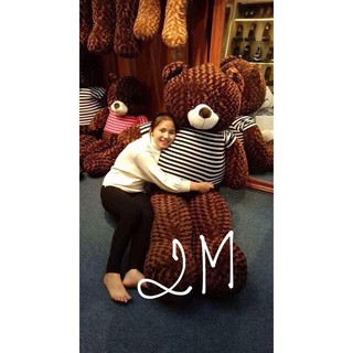 [Gấu 2m2] Gấu Bông Teddy Cao Cấp 2m2 giá cực rẻ