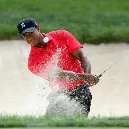 Tiger Câu lạc bộ golf