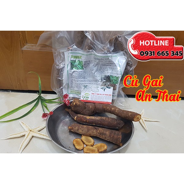 Củ Gai An Thai Tươi 1Kg - Hàng Loại 1 Chất Lượng Nhất | BigBuy360 - bigbuy360.vn