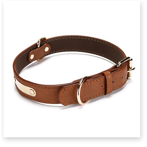 Dây Đeo Cổ Thú Cưng, Dây Da Trơn Đeo Cổ Cho Thú Cưng Loại Vừa AMAZING TTP