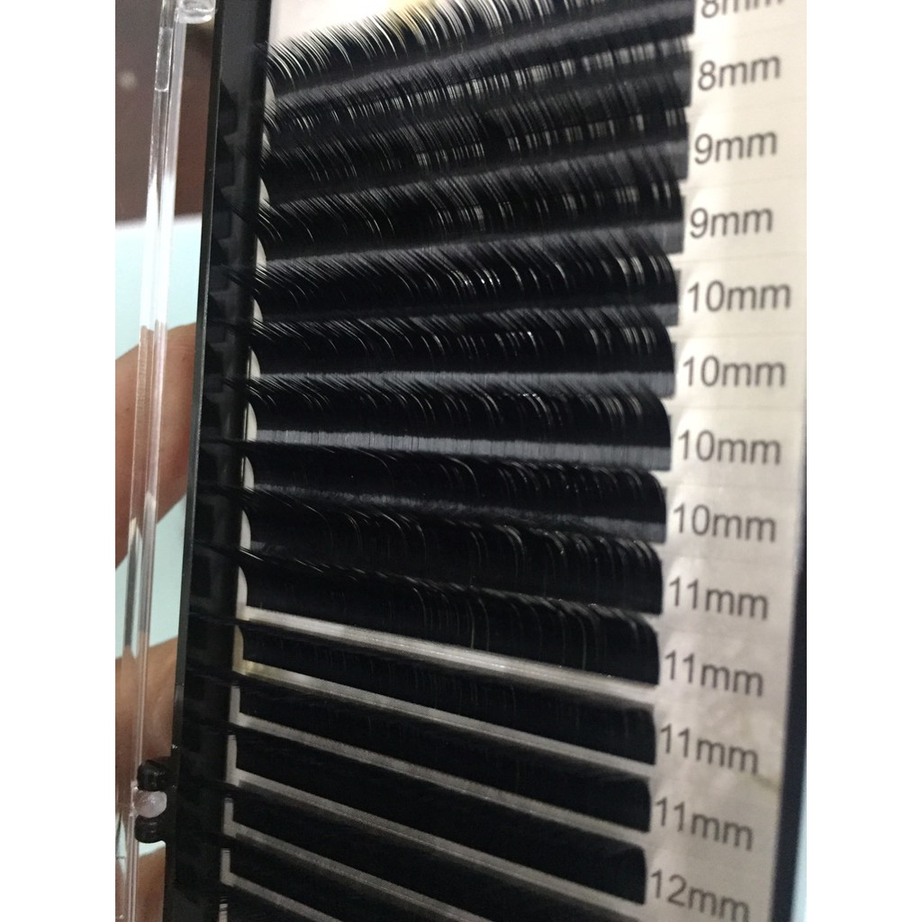 Mi khay độ cong mix L