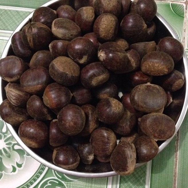 [HẠT DẺ] 1kg HẠT DẺ CAO BẰNG loại to ngon | BigBuy360 - bigbuy360.vn