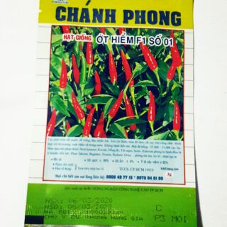 Hạt giống ớt hiểm f1 số 01 .
