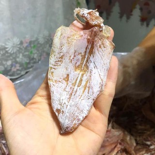 Khô mực nha trang cá mực khô câu mực khô ngon mềm ngọt size 100 con