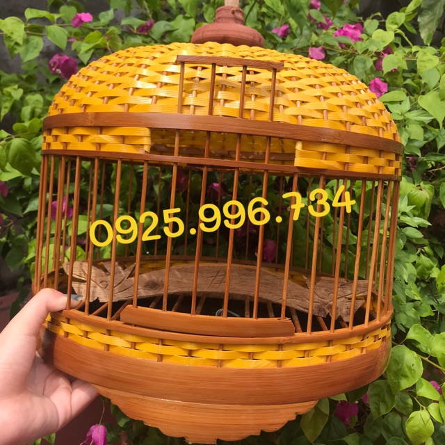 LỒNG CU GÁY ĐAN