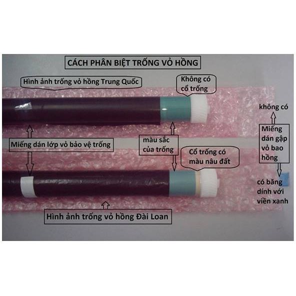 Trống bao hồng 92a(1100)