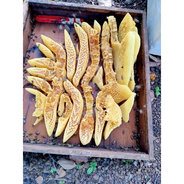 1kg mật ong nguyên tổ loại 1