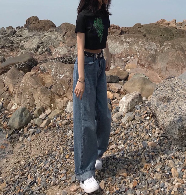 Dragon Croptop | BigBuy360 - bigbuy360.vn