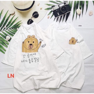Áo phông gấu cá LN12