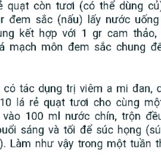 Cây rẻ quạt kèm củ