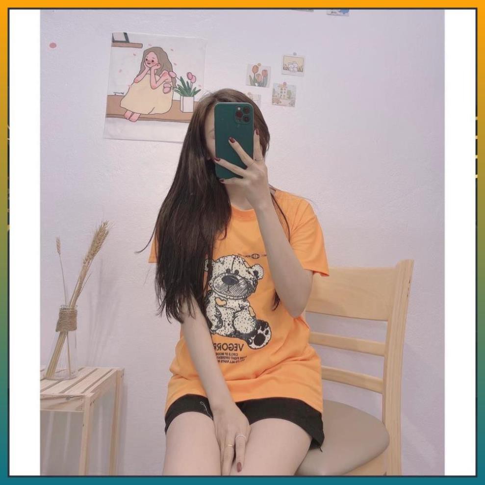 [FREE SHIP] Áo Thun Nữ, Áo Phông Nữ Free Size 100% Cotton Hàng QC Loại 1 Full Túi Zip | BigBuy360 - bigbuy360.vn