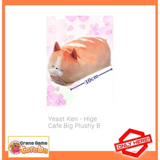 Gấu bông Toreba