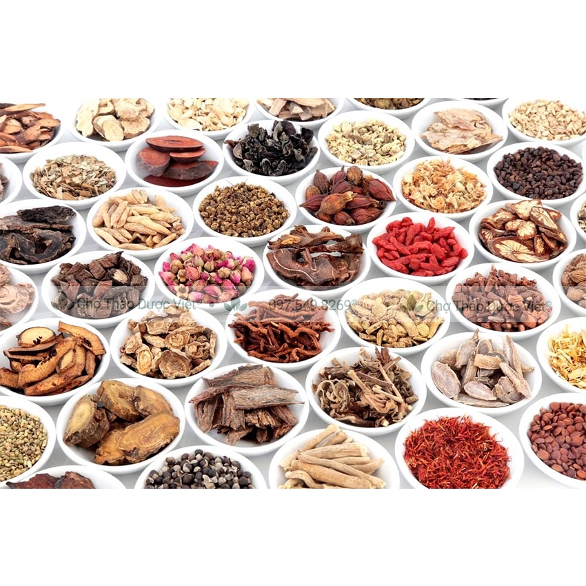 Bột bạch truật 100g  - Chợ Thảo Dược Việt
