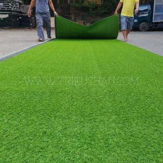 Combo thảm cỏ 25m2 1.5cm