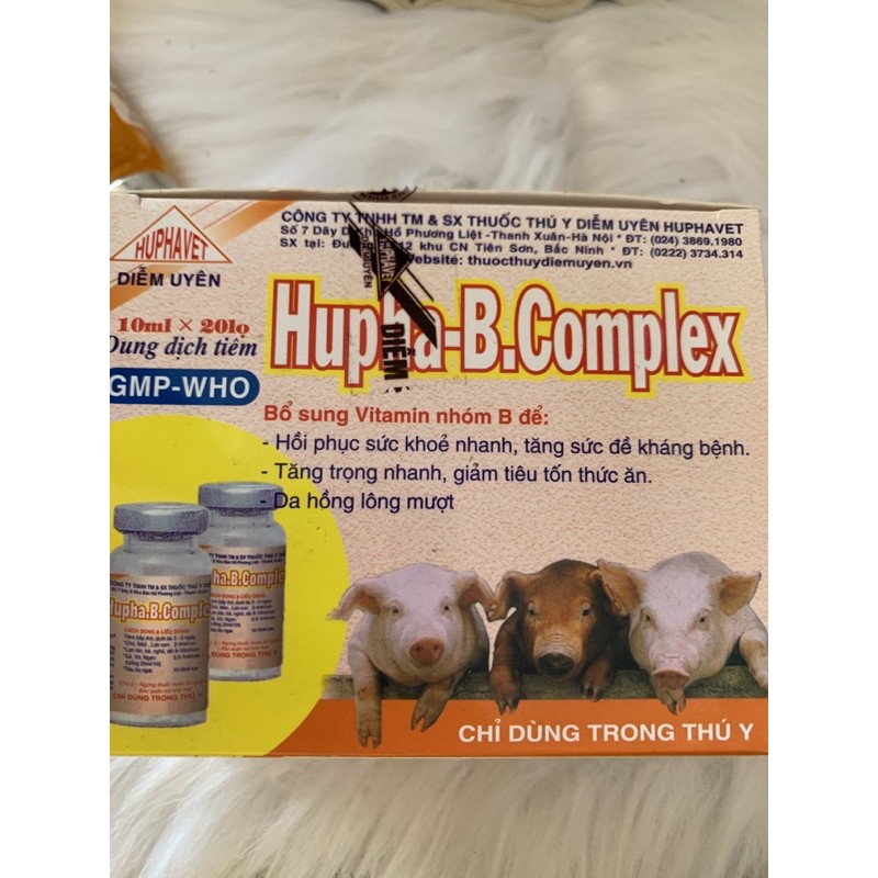 10ml Hupha B Complex - vitamin nhóm B cho chó mèo, heo con, bê, nghé, dê, gà, vịt, ngan, trâu, bò, ngựa