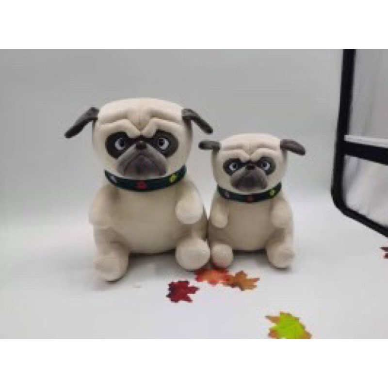 Chó mặt nhăn 35cm