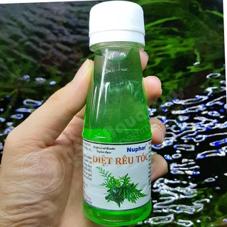 Thuốc Diệt Rêu Nuphar Đặc Trị Rêu Tóc Hại, Tảo Lam, Tảo Nâu, Mụn Cóc Dương Sỉ Tặng Kèm Ống Pipep