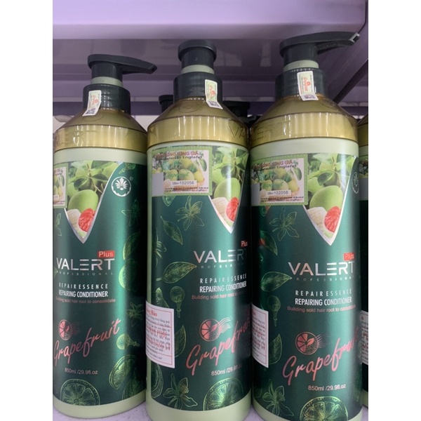 CẶP DẦU GỘI BƯỞI - GRAPEFRUIT - GỘI XẢ BƯỞI CHỐNG RỤNG TÓC - KÍCH THÍCH MỌC TÓC