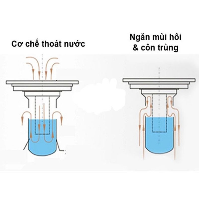 Phễu thoát sàn , phễu chống hôi , ngăn côn trùng bằng đồng