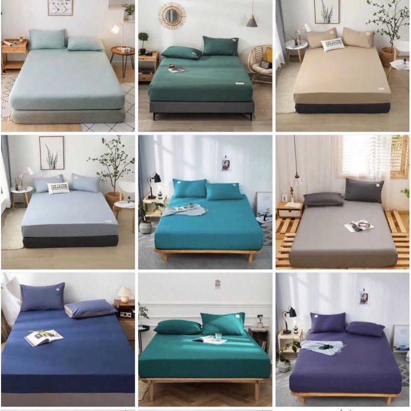 Set Ga Gối Cotton Tici phiên bản hàn cực xinh ( đủ tất cả kích thước) | BigBuy360 - bigbuy360.vn