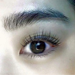 Lăn kích mọc râu, chân mày và mi