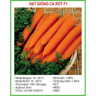 Hạt Giống Cà rốt Karnavit 0.1 gram/gói