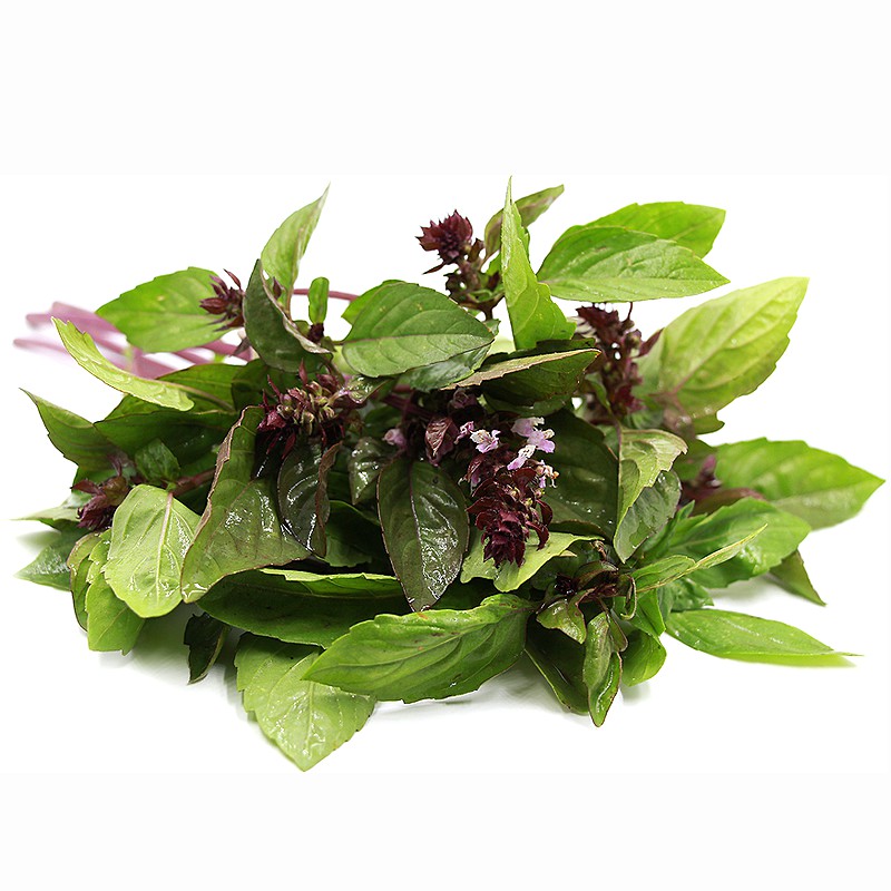 Hạt Giống Rau Húng Quế Thơm Gói 5gr, rau hung que
